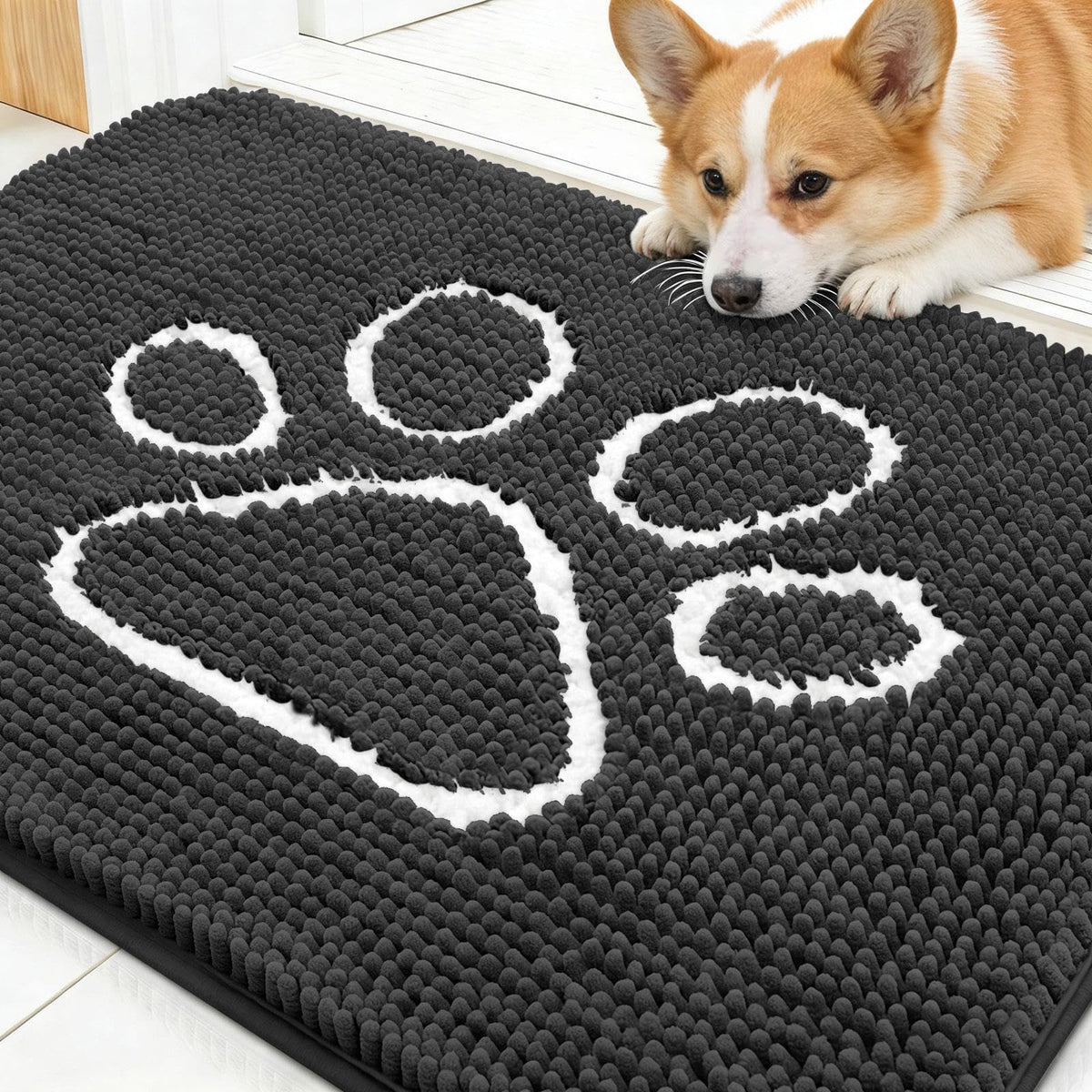 OLANLY Dog Door Mat for Muddy Paws 30x20, Super Absorbent Chenille Mud Mat