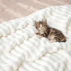 Bedsure GentleSoft King Size Blanket for Bed - Cozy Soft Blankets for Women, Cute Large Bedding Fleece Throws for Girls, Off White, 108x90 Inches