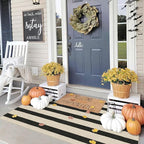 Black and White Striped Entry Rug - 3x5 Ft Washable Indoor Outdoor Front Door Mat Outside Entrance Front Porch Mat Non-Slip Floor Carpet for Bedroom Entryway Kitchen Office Porch Decor