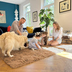 OLANLY 8x10 Machine Washable Large Area Rugs for Living Room, Bedroom, Soft Fluffy Shaggy Bedside Rug, Indoor Floor Carpet for Kids Girls and Boys, Dorms, Nursery, Home Decor Aesthetic, Khaki