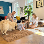 OLANLY 9x12 Machine Washable Large Area Rugs for Living Room, Bedroom, Soft Fluffy Shaggy Bedside Rug, Indoor Floor Carpet for Kids Girls and Boys, Dorms, Home Decor Aesthetic, Khaki