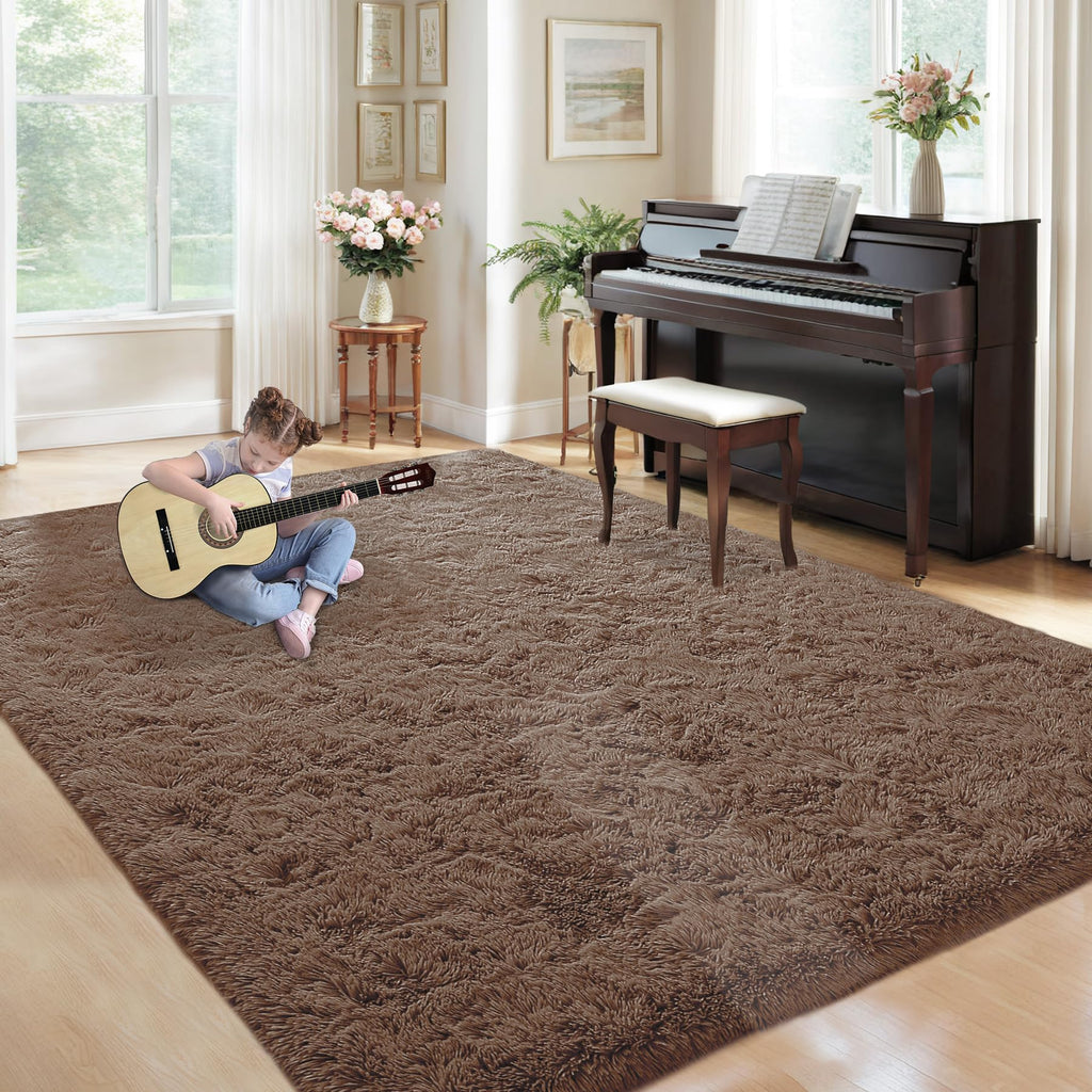 5x8 Area Rug for Living Room: Fluffy Shag Soft Washable Rugs Fuzzy Plush Indoor Carpet for Bedroom Nursery Playroom Dorm Kids Girls Boys Room (Coffee, 5'x8')