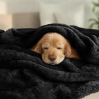Exclusivo Mezcla Fuzzy Plush Fleece Bed Blanket Twin XL Size, Black