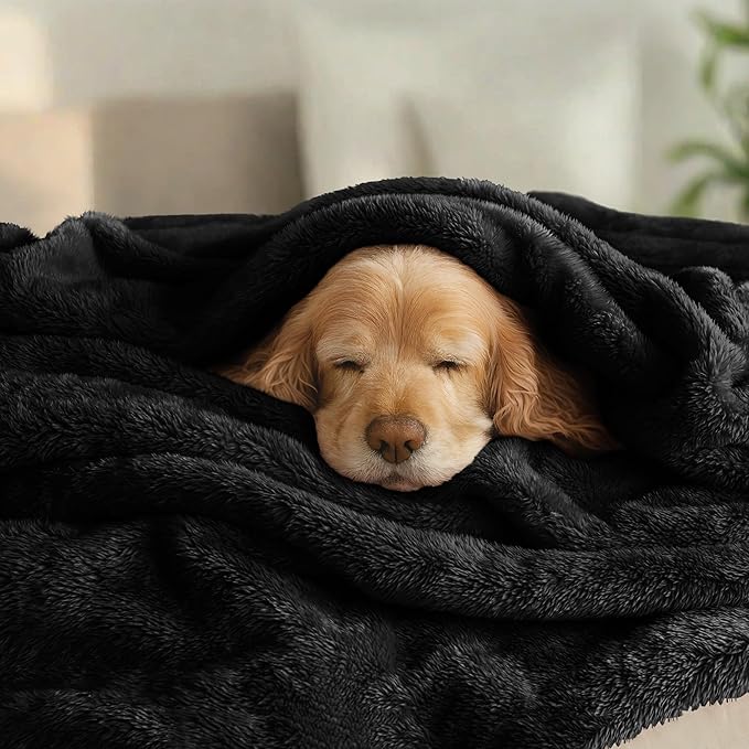 Exclusivo Mezcla Fuzzy Plush Fleece Bed Blanket Twin XL Size, Black