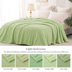 Whale Flotilla Extra Large Soft Fleece Throw Blanket for Couch