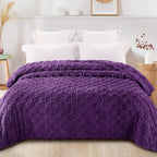 Exclusivo Mezcla Twin Size Flannel Fleece Blanket, Super Soft and Warm Lightweight Checkered Pattern Blankets for All Seasons, 60x80 Inches, Purple