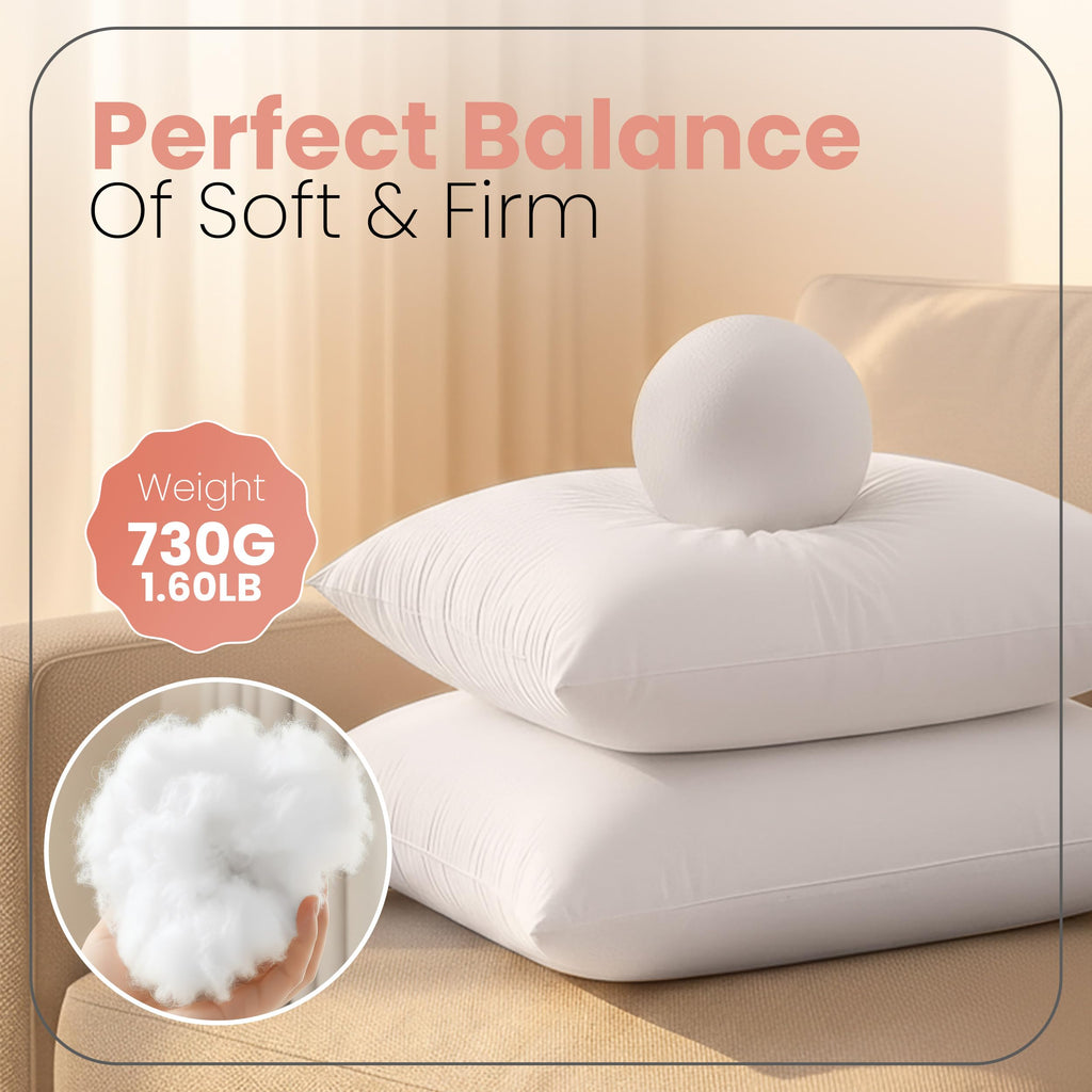 Utopia Bedding 22x22 Pillow Inserts, White Throw Pillows for Couch, 2 Pack