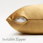 GIGIZAZA Golden Velvet Pillow Covers 22x22 Decorative Pillows Pack of 2