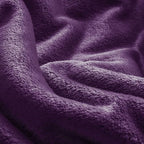 BEDELITE Big Fleece Blanket - 120" x 120" (10' x 10'), Super Soft Fluffy Fuzzy Oversized King Blanket for Bed, Couch, Sofa, Camping,Fits Whole Family,Purple