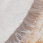 linmopm Faux Fur Sheepskin Rug, 2x3 ft, White and Yellow