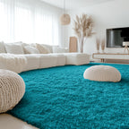 OLANLY 9x12 Machine Washable Large Area Rugs for Living Room, Bedroom, Soft Fluffy Shaggy Bedside Rug, Indoor Floor Carpet for Kids Girls and Boys, Dorms, Nursery, Home Decor Aesthetic, Teal