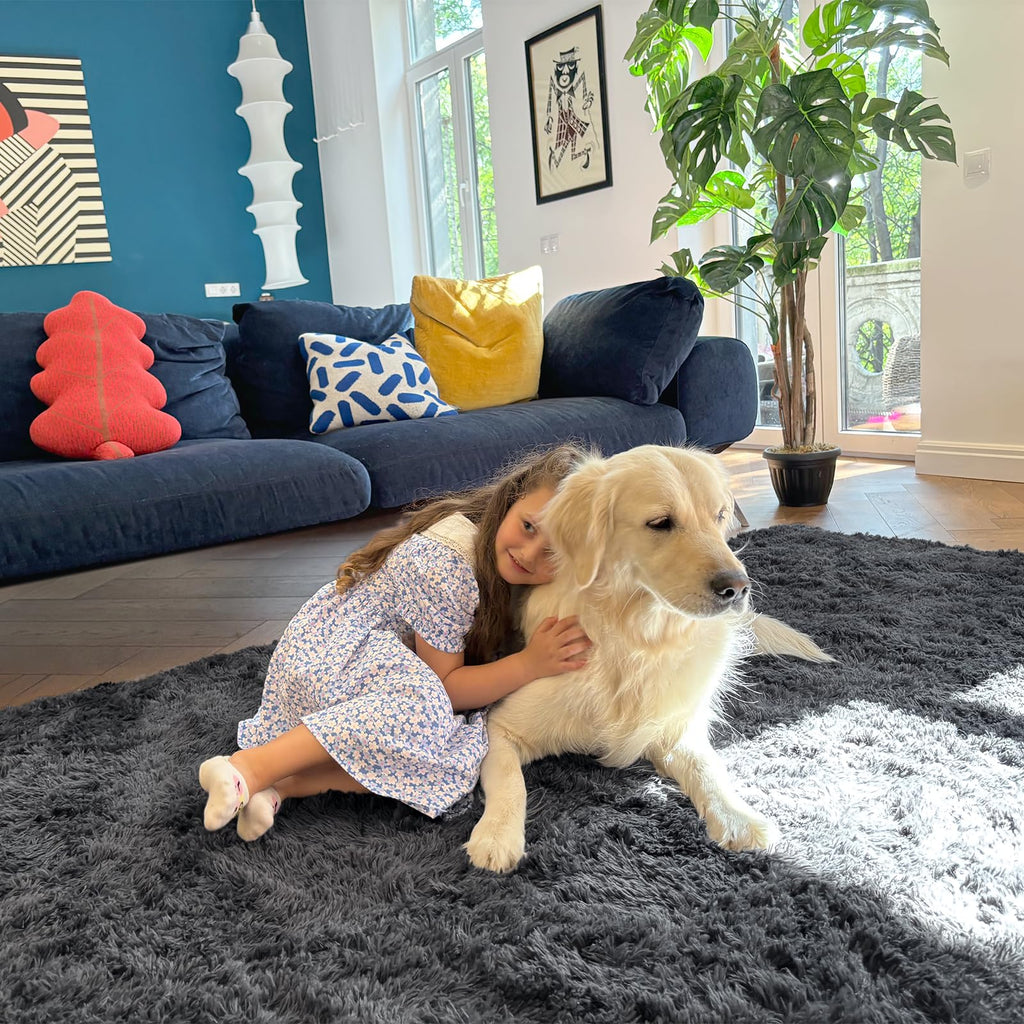 OLANLY 7x9 Machine Washable Large Area Rugs for Living Room, Bedroom, Soft Fluffy Shaggy Bedside Rug, Indoor Floor Carpet for Kids Girls and Boys, Dorms, Nursery, Home Decor Aesthetic, Grey
