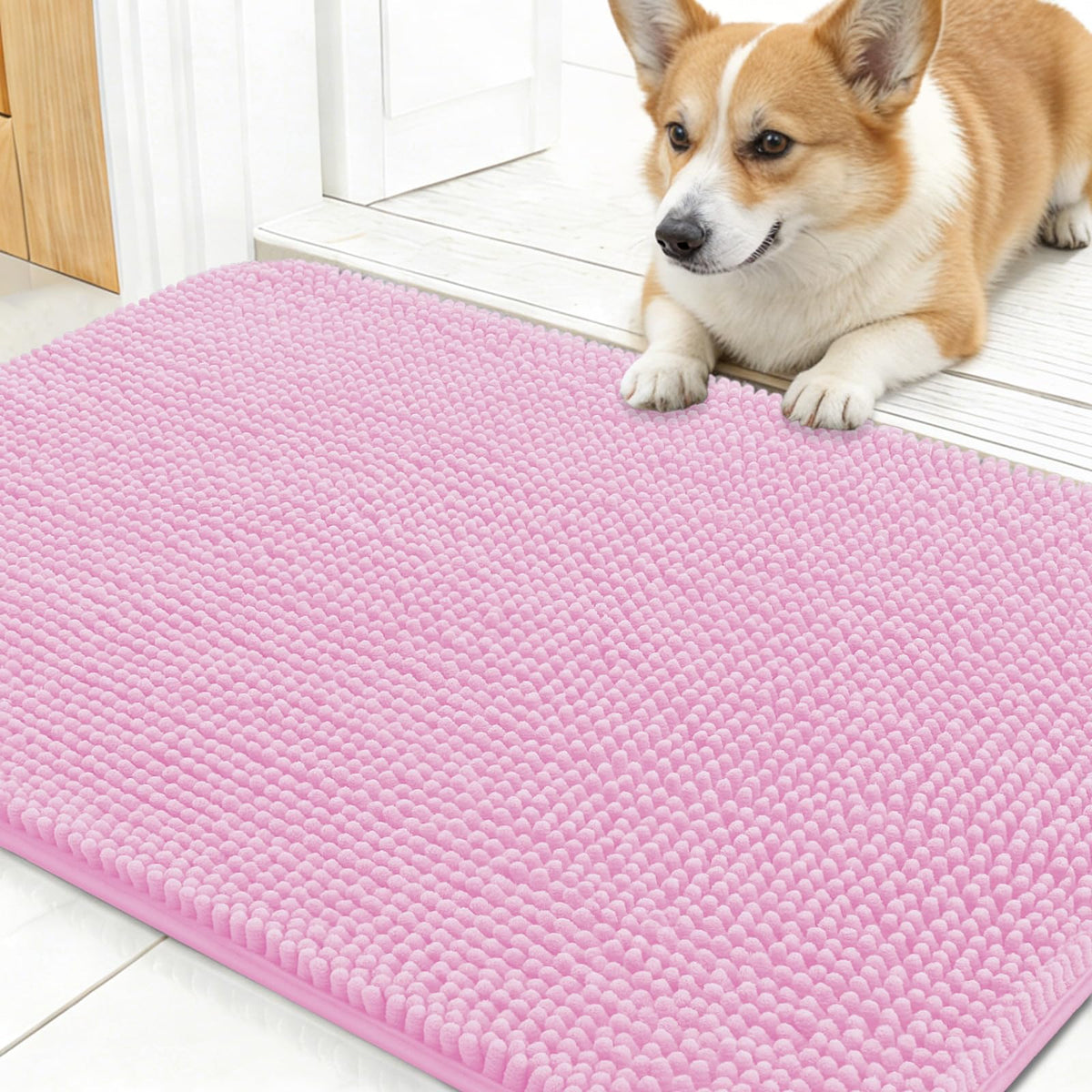 OLANLY Dog Door Mat for Muddy Paws 24x16, Super Absorbent Chenille Mud Mat