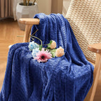 inhand Royal Blue Throw Blanket, Super Soft Fuzzy Blanket for Couch Sofa Bed Office, Cozy Plush Fleece Blanket Throw Size, Washable Lightweight Flannel Blankets Throw for All Season, 50x60 Inches