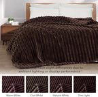Exclusivo Mezcla Twin Size Flannel Fleece Blanket, Super Soft Striped Jacquard Bed Blanket, Lightweight Fuzzy Cozy for All Seasons, 60x80 Inches, Coffee