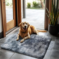 yulidayang 2x3 Area Rugs for Bedroom,Mottling Black Small Fluffy Shag Rug