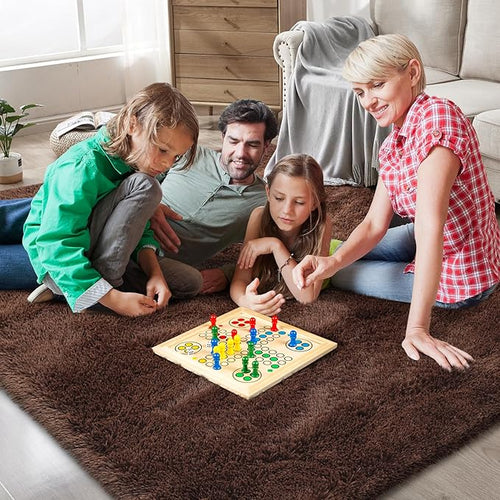 10X14 Large Area Rugs for Living Room Bedroom,Big Shag Rug for Bedroom Dorm,Soft Fluffy Indoor Carpet Plush Rugs for Living Room Home Decor,Brown