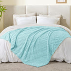 BEDELITE Cloud Blue Throw Blanket for Couch, Soft Gifts for Women, 50 * 60