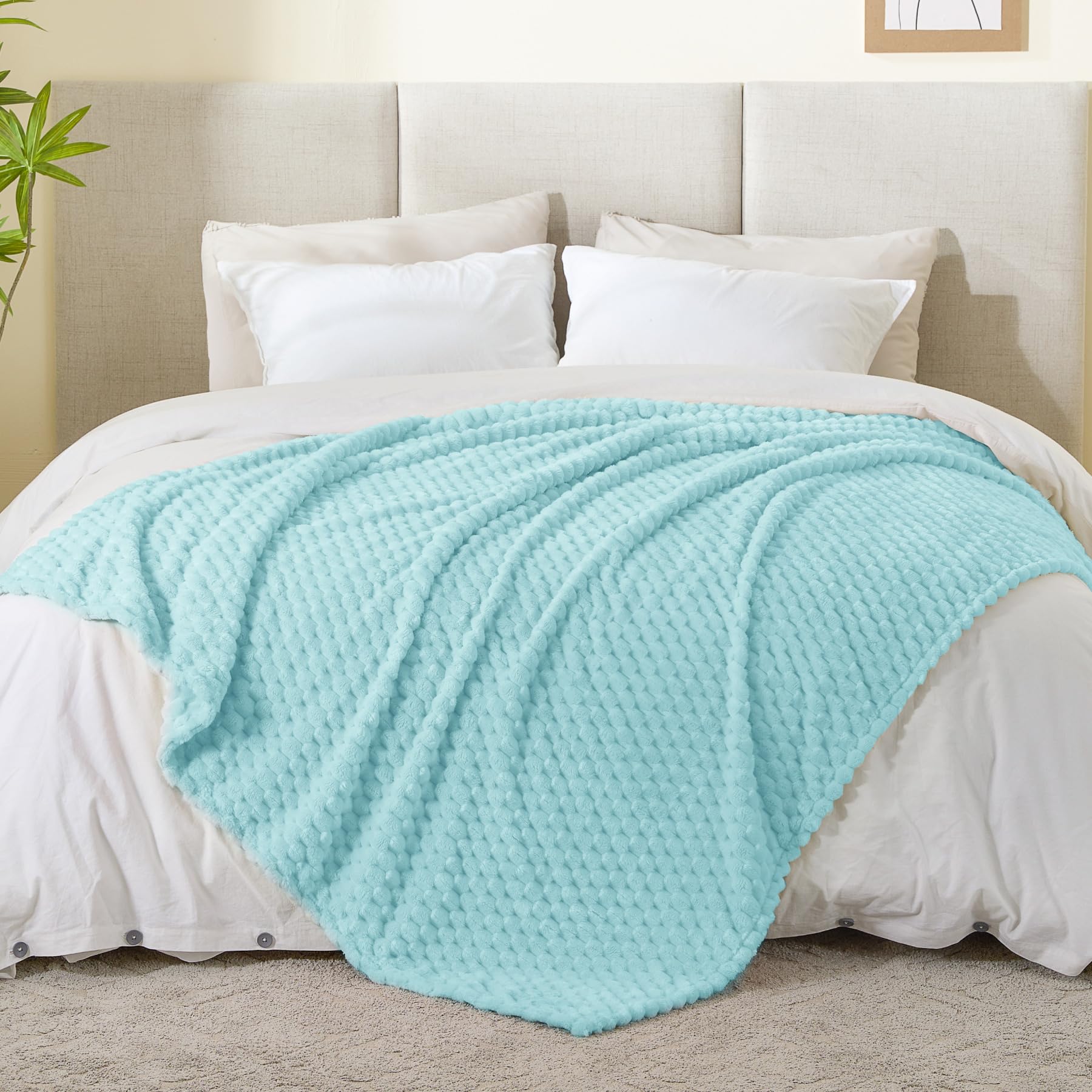 BEDELITE Cloud Blue Twin Blanket for Couch, Soft Cozy Gift for Women, 60*80