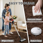 2x6 Fluffy Shag Area Rugs for Living Room Bedroom: Soft Plush Carpet Brown