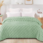 Exclusivo Mezcla Queen Size Flannel Fleece Blanket, Super Soft and Warm Lightweight Checkered Pattern Blanket for All Seasons, 90x90 Inches, Sage Green