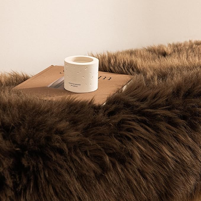 Ashler Faux Fur Rug - Fluffy Shaggy 2 x 3 Feet Rectangle Sheepskin Fur, Dark Coffee Fuzzy Machine Washable Shag, Nursery Decor Throw for Bedroom, Living Room