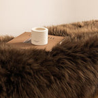 Ashler Faux Fur Rug - Fluffy Shaggy Area Rug, Ultra Soft 3 x 5 Feet Sheepskin Fur, Dark Coffee Fuzzy Machine Washable Shag, Nursery Decor Throw for Bedroom, Living Room, Kids Room
