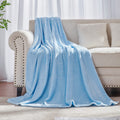 Light Blue Fleece Plush Throw Blanket 50"x60"for Couch Fuzzy Cozy Flannel