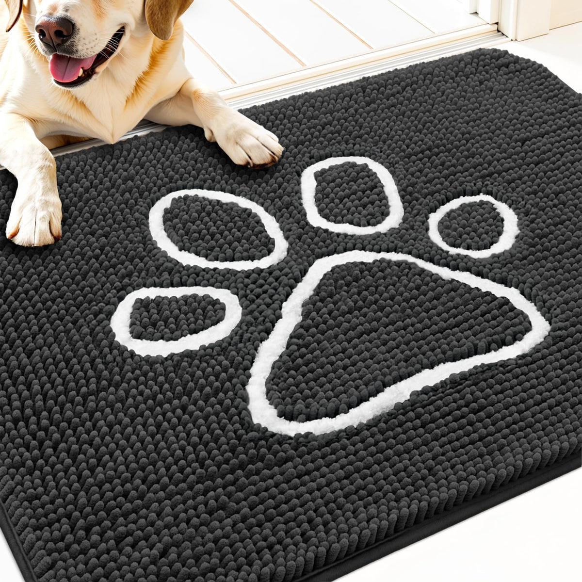 OLANLY Dog Door Mat for Muddy Paws 32x20, Super Absorbent Chenille Mud Mat