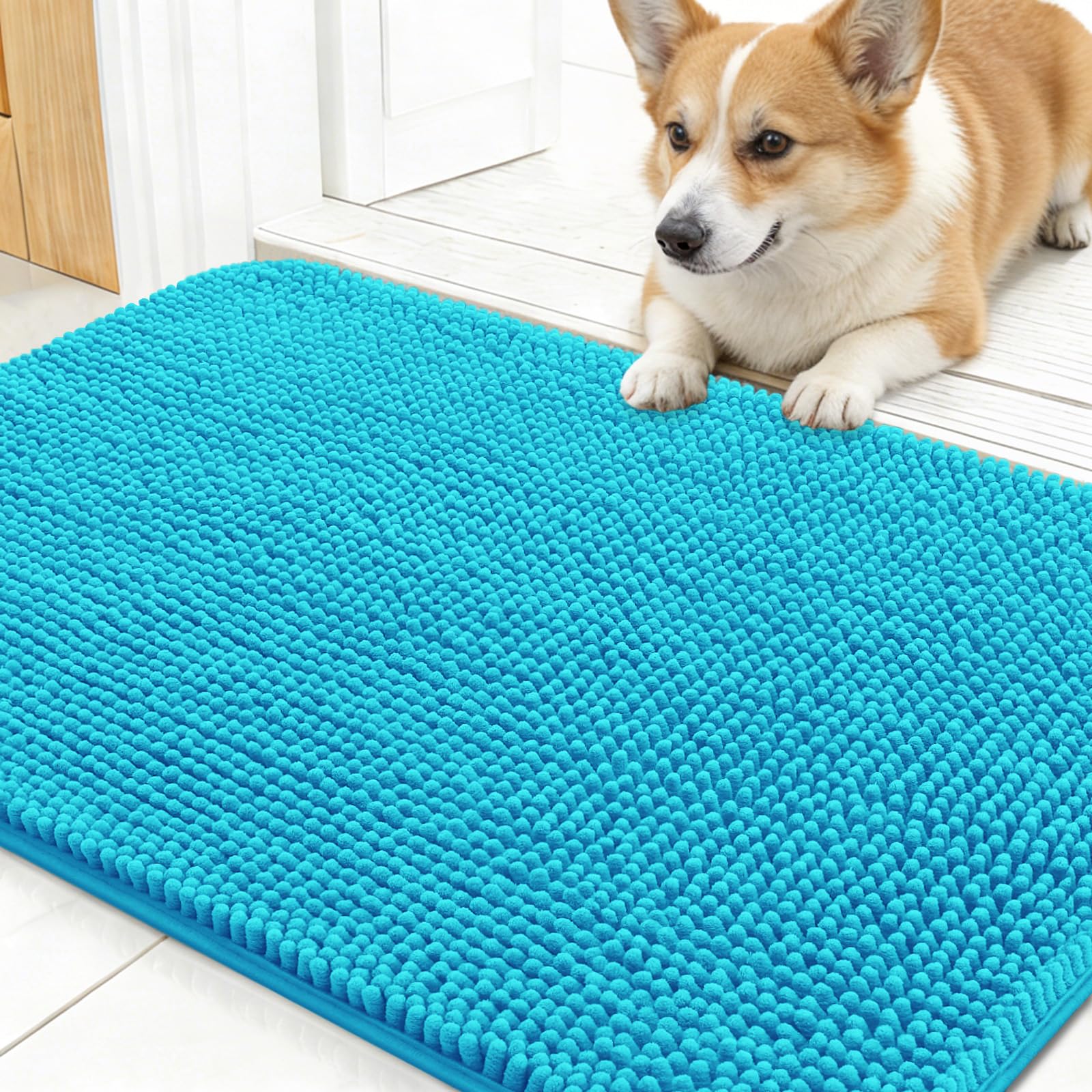 OLANLY Dog Door Mat for Muddy Paws 30x17, Super Absorbent Chenille Mud Mat