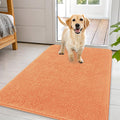 OLANLY Dog Door Mat for Muddy Paws 44x32, Super Absorbent Chenille Mud Mat
