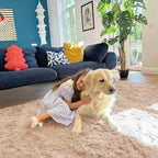 OLANLY 3x4 Machine Washable Accent Rug, Soft Fluffy Shaggy Area Rug for Bedroom, Living Room, Indoor Floor Carpet for Kids, Nursery, Home Decor, Beige