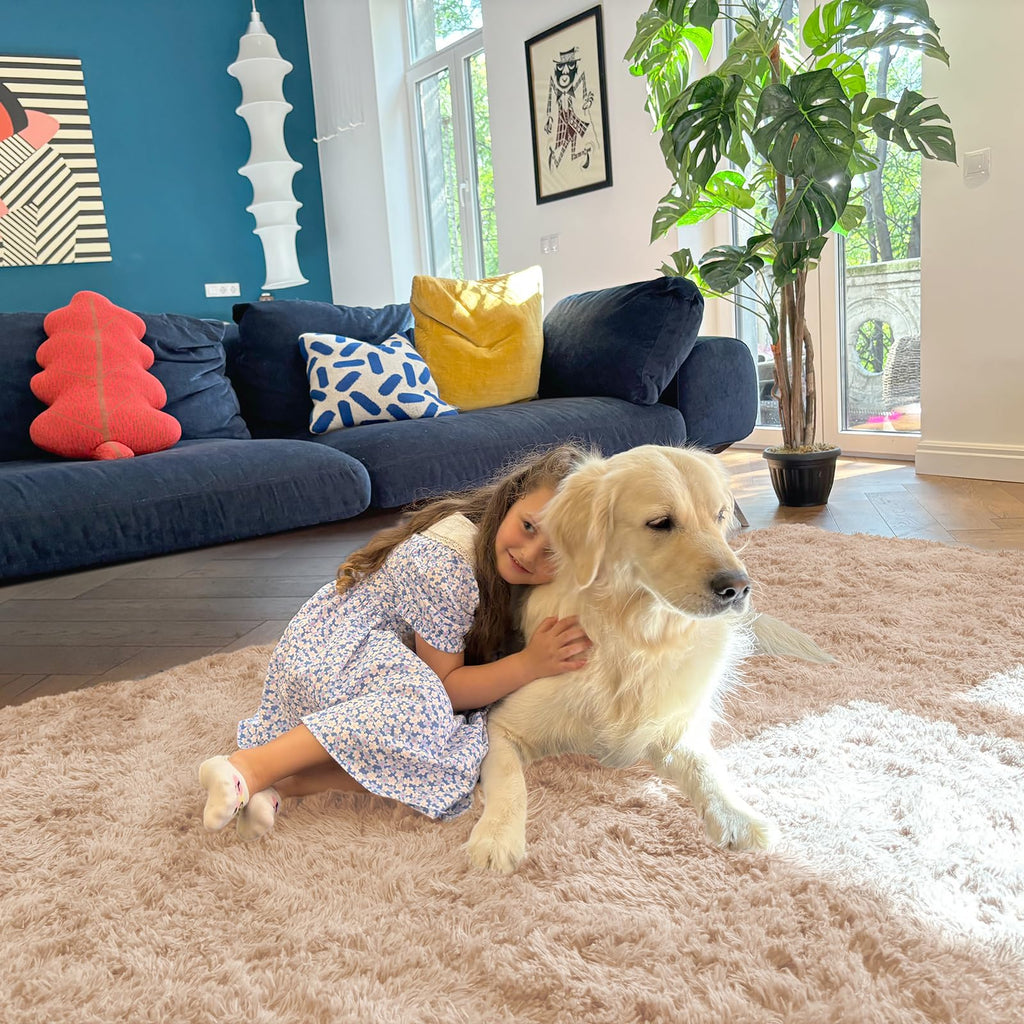 OLANLY Area Rugs for Living Room Bedroom, Machine Washable 4x5.9 ft Soft Fluffy Shaggy Bedside Rug, Indoor Floor Carpet for Kids Girls and Boys, Dorms, Nursery Rooms, Home Decor Aesthetic, Beige