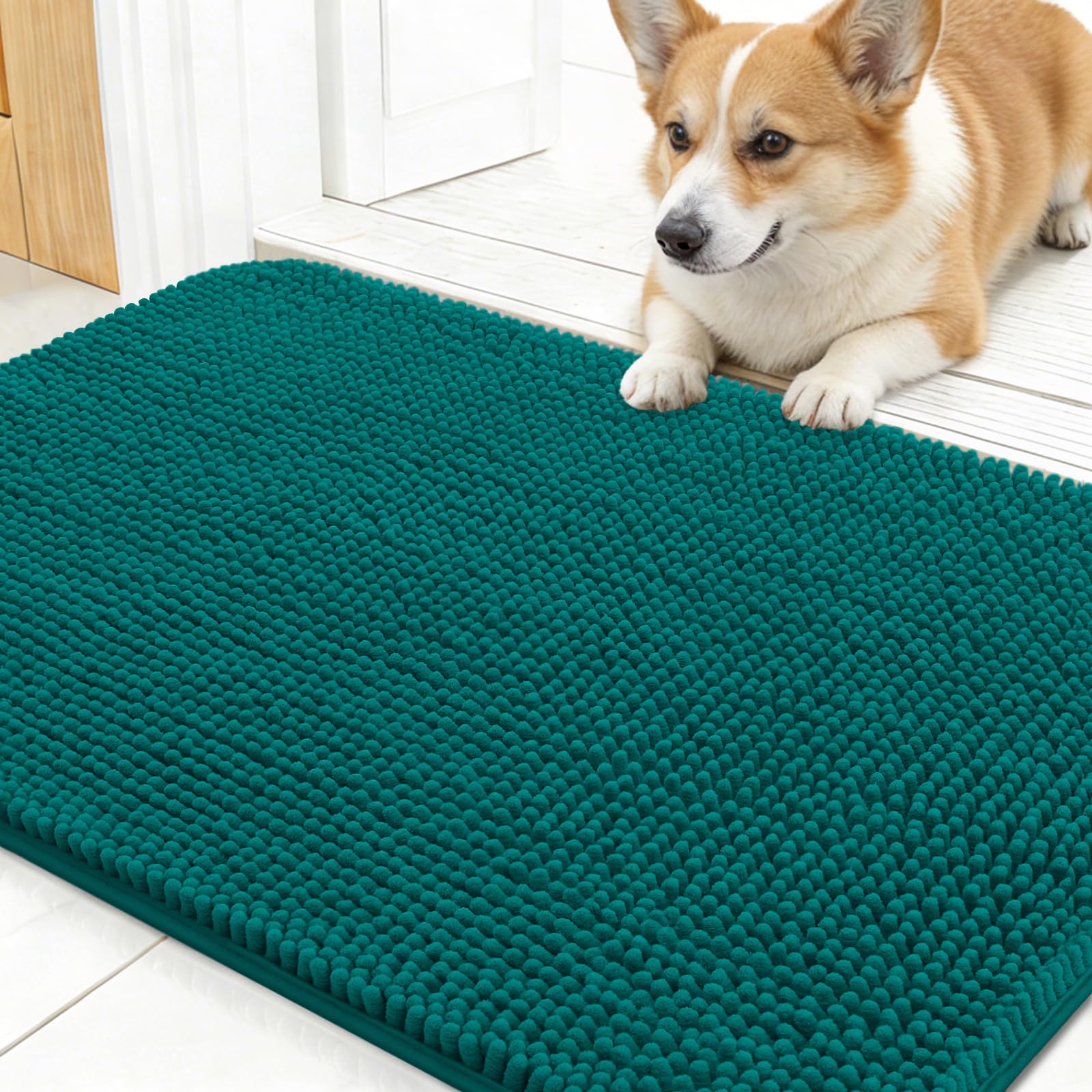 OLANLY Dog Door Mat for Muddy Paws 30x17, Super Absorbent Chenille Mud Mat