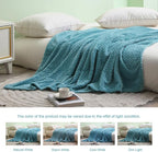 Exclusivo Mezcla Fleece Throw Blanket for Couch and Bed, 50x70 Inches Soft Cozy Jacquard Flannel Blankets, Lightweight Fuzzy Plush Warm Throws for Women, Slate Blue