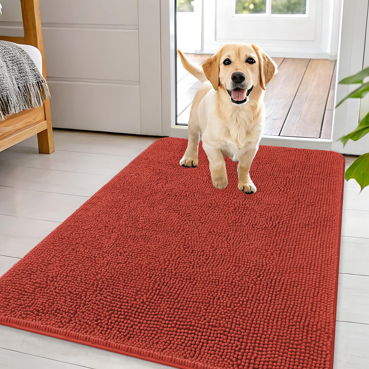 OLANLY Dog Door Mat for Muddy Paws 44x32, Super Absorbent Chenille Mud Mat