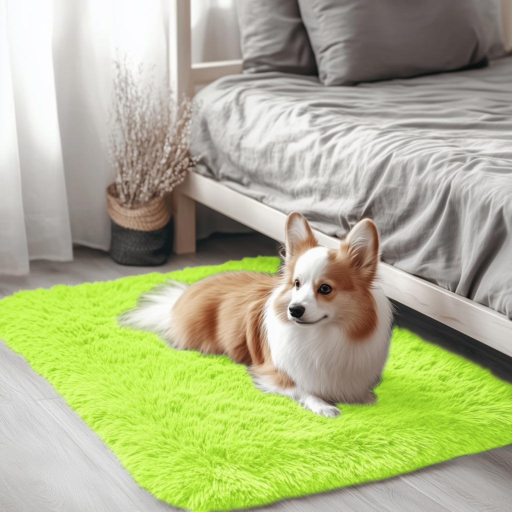 OLANLY 2x3 Machine Washable Small Bedside Rug, Soft Fluffy Shaggy Entryway Throw Rugs for Bedroom, Living Room, Indoor Floor Carpet for Kids Girls and Boys, Home Decor Aesthetic, Lime Green
