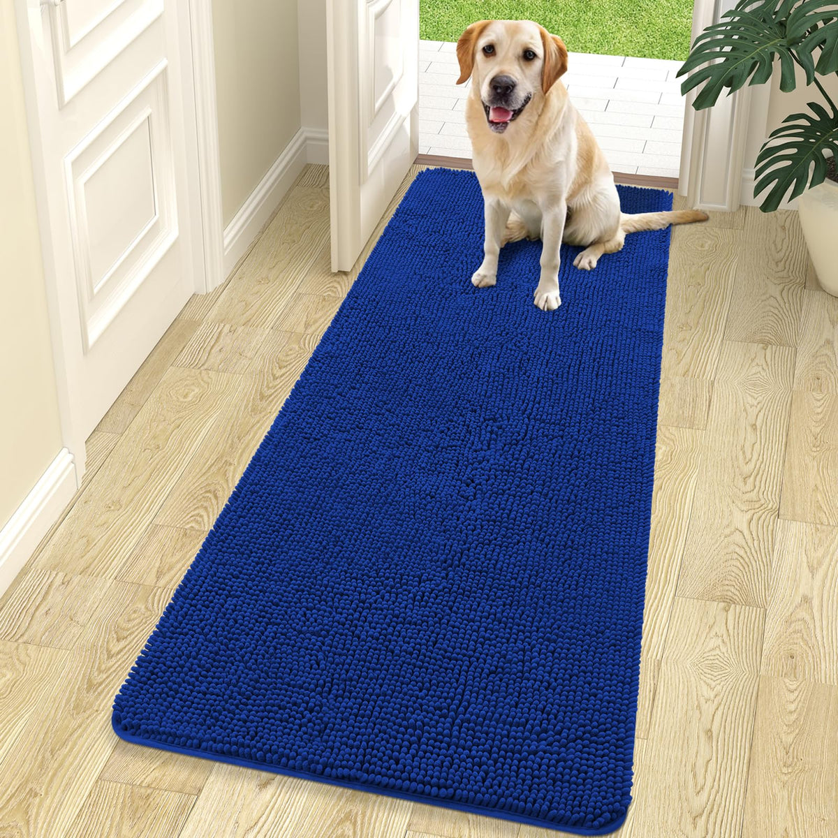 OLANLY Dog Door Mat for Muddy Paws 70x24, Super Absorbent Chenille Mud Mat