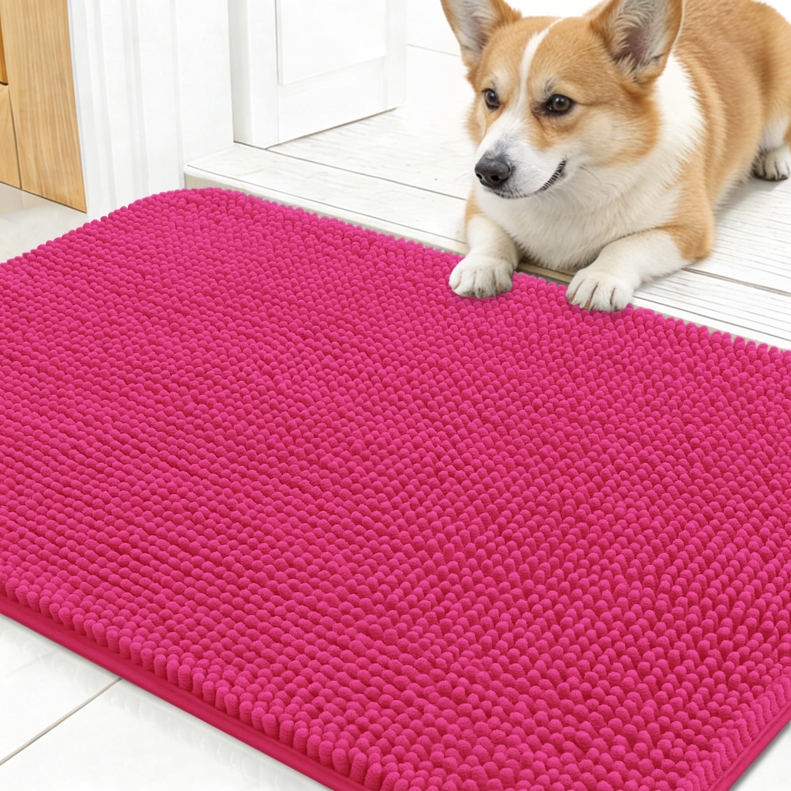 OLANLY Dog Door Mat for Muddy Paws 30x17, Super Absorbent Chenille Mud Mat