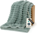 Bedsure GentleSoft Sage Green Throw Blanket for Couch - Cozy Soft Spring Blankets for Women, Cute Small Fleece Throws Spring Gifts for Women Teen Girls, Sage Green Decor Room Home, 50x60 Inches