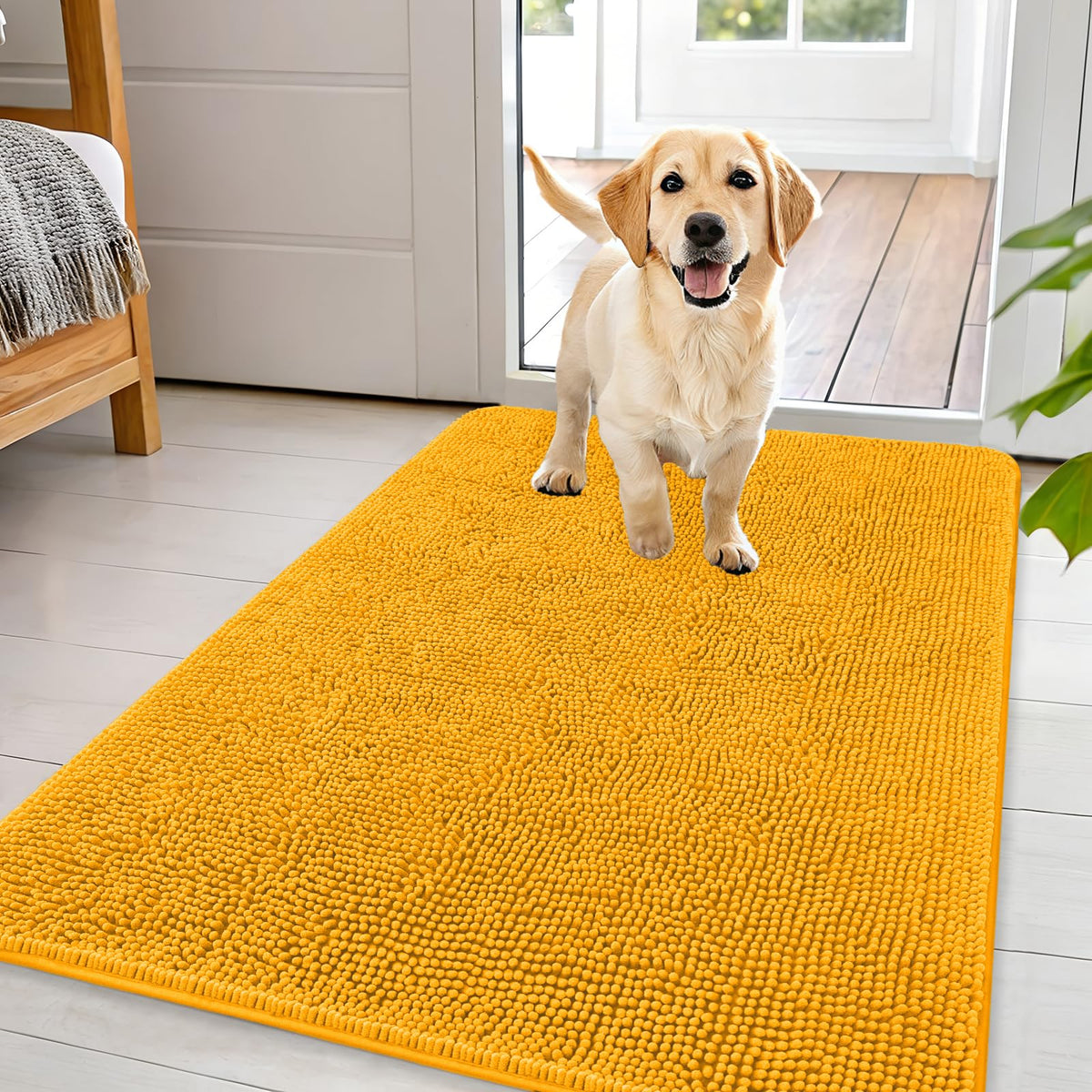 OLANLY Dog Door Mat for Muddy Paws 44x32, Super Absorbent Chenille Mud Mat
