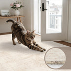 Luxturiy 5x7 Area Rugs Living Room: Bedroom Neutral Washable Carpet Beige