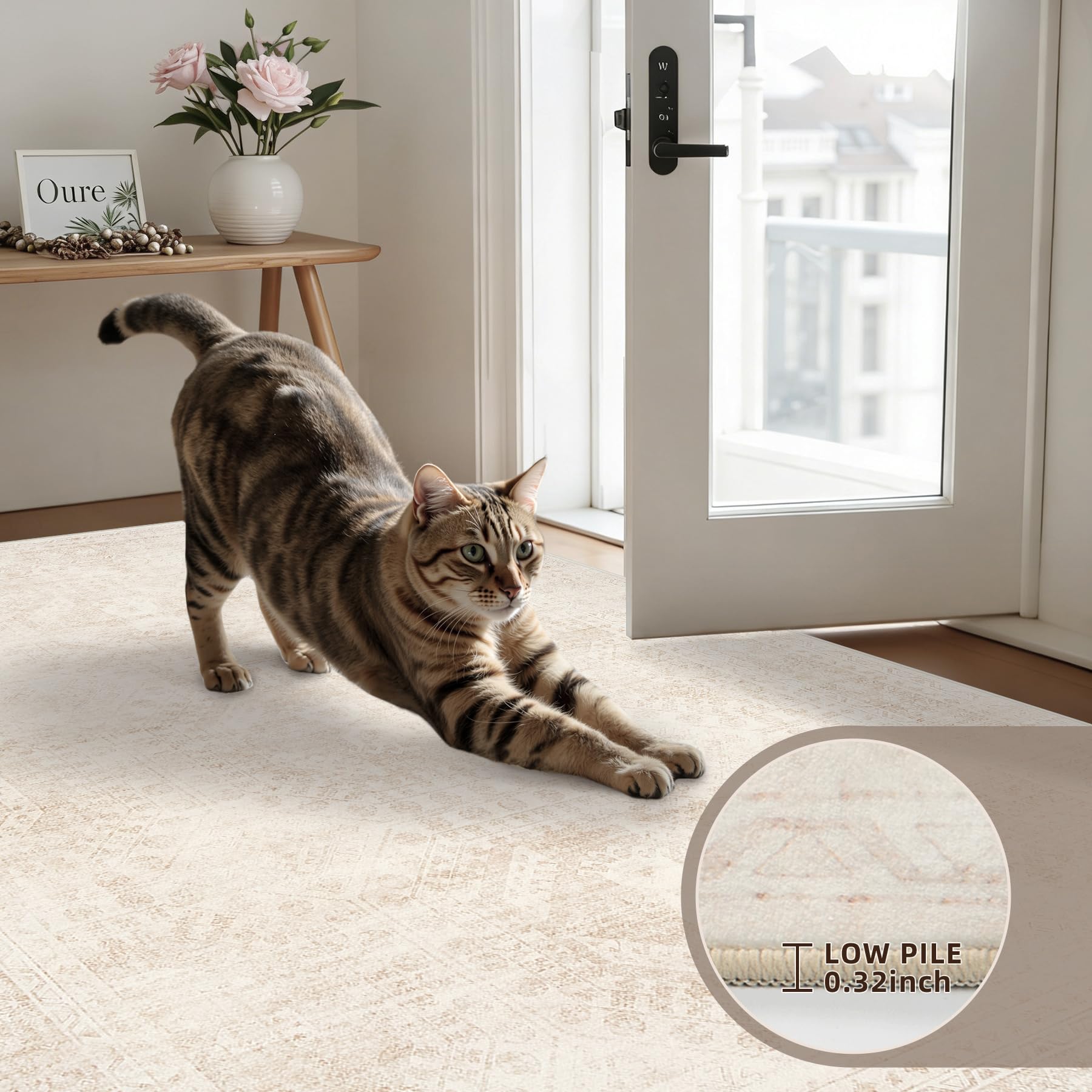 Luxturiy 5x7 Area Rugs Living Room: Bedroom Neutral Washable Carpet Beige