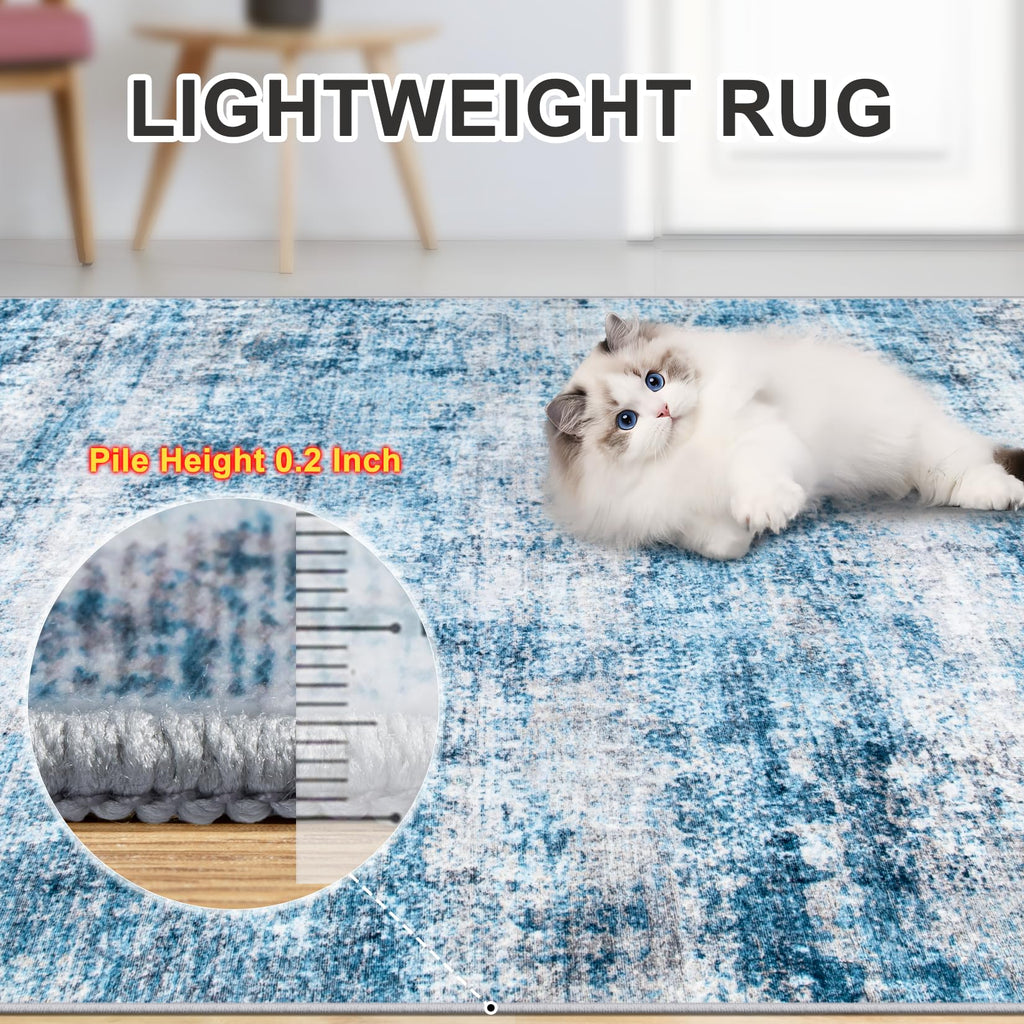 PLHXFR Area Rug Living Room: 4x6 Modern Abstract Washable Carpet Blue