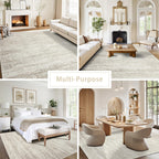 Washable Rugs 10x14 Area Rugs for Living Room,Bedroom,Dining Room Carpet