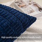 Aegero Pack of 2 Corduroy Decorative Throw Pillow Covers 24x24 Inch, Blue