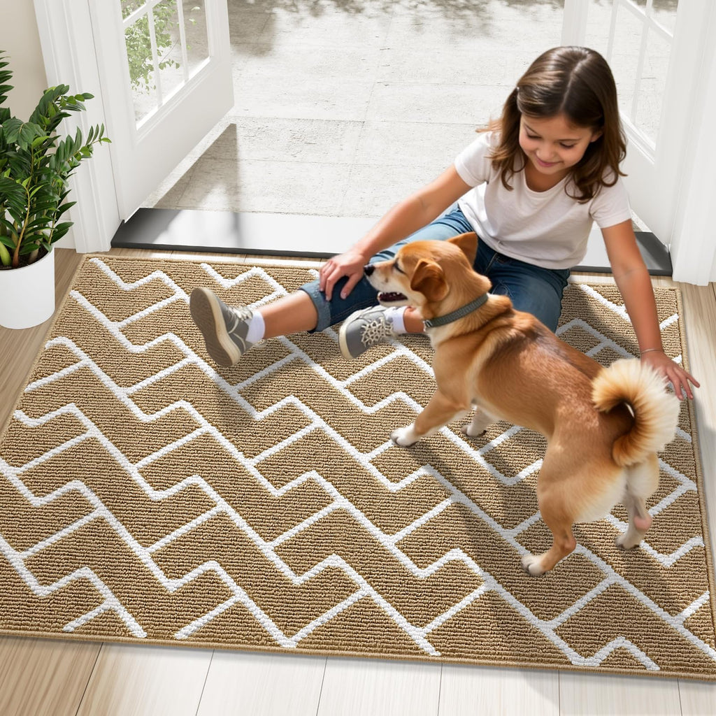 OLANLY Front Door Mat, Non-Slip Rubber Backing, Dirt Resistant and Absorbent, Washable, Easy to Clean Low-Profile Indoor Doormat for Back Door, Entryway, Inside Entrance, 32x20, Beige