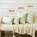 MIULEE Pack of 2 Spring Light Green Couch Throw Pillow Covers 20x20 Inch Soft Chenille Pillow Covers for Sofa Living Room Solid Dyed Pillow Cases