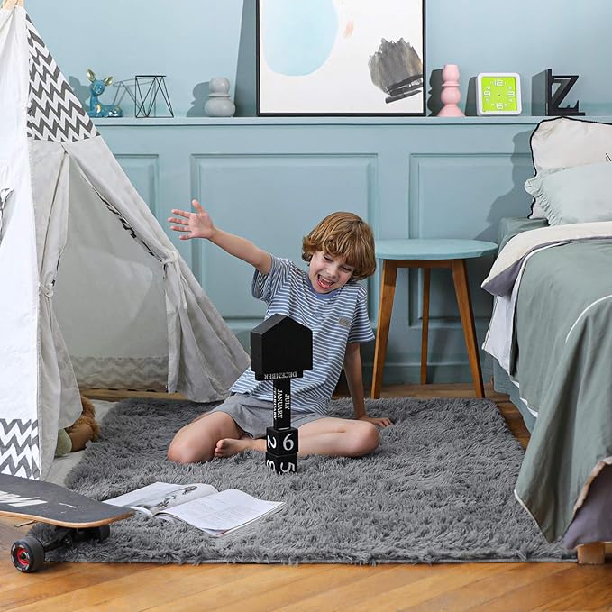 Ophanie Area Rugs for Bedroom Living Room, Grey Fluffy Fuzzy Shag Shaggy Soft Plush Carpet, 4x6 Indoor Floor Gray Rug for Kids Home Dorm Decor Aesthetic