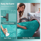 5x8 Area Rug for Living Room: Fluffy Shag Soft Washable Rugs Fuzzy Plush Indoor Carpet for Bedroom Nursery Playroom Dorm Kids Girls Boys Room (Teal Blue, 5'x8')